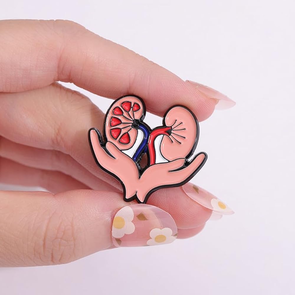 Lapel pins brooch of kidneys in hand