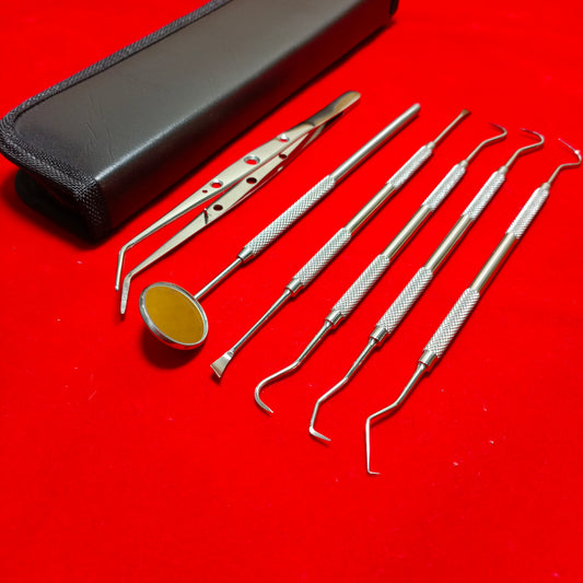 Dental Teeth Cleaning Kit Dentist Floss Plaque Remover Oral Care Tooth Tool 6 PCS, Scaling Kit