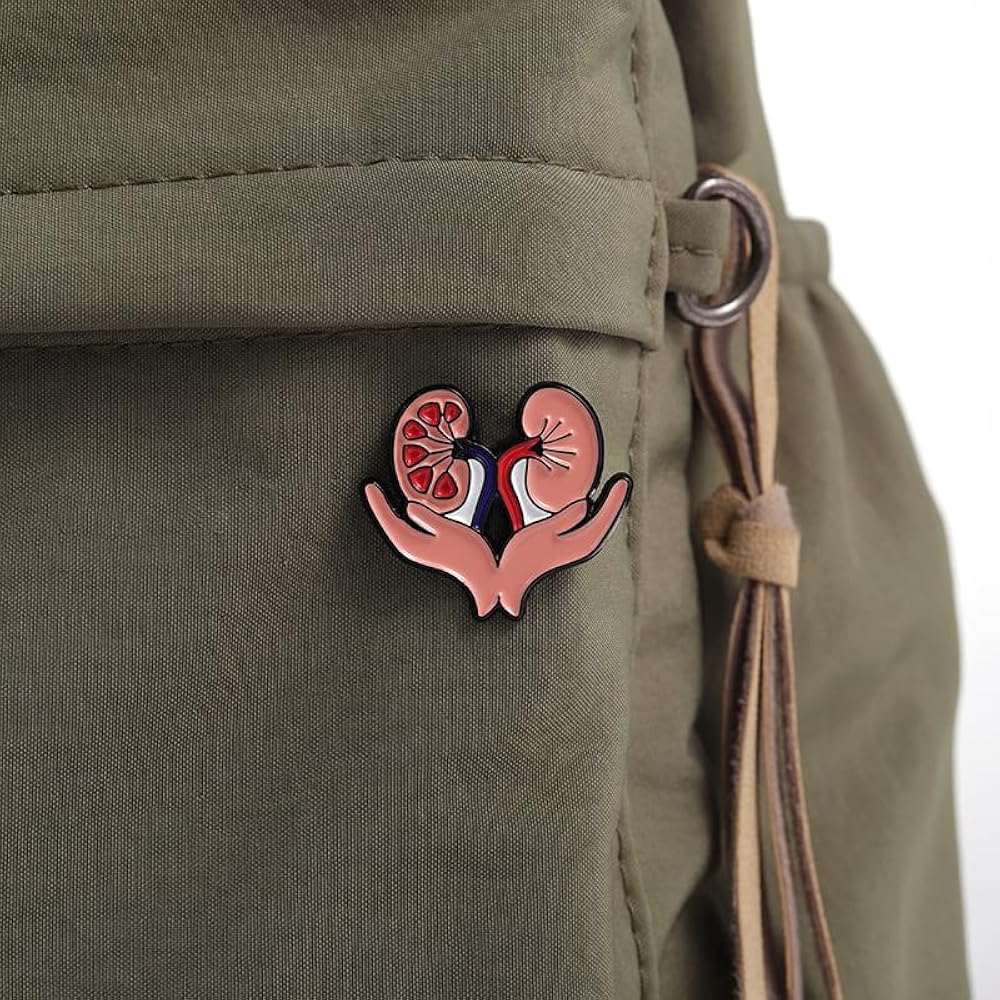 Lapel pins brooch of kidneys in hand