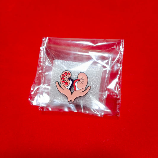 Lapel pins brooch of kidneys in hand